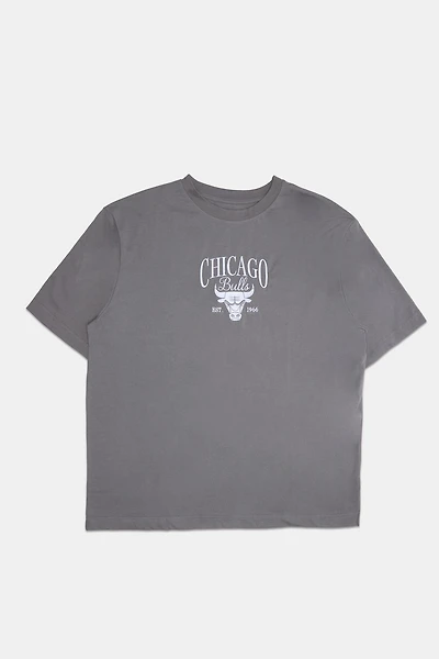Mens Chicago Bulls Embroidered Graphic T-Shirt - Grey Blue /