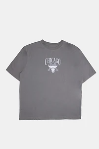 Mens Chicago Bulls Embroidered Graphic T-Shirt - Grey Blue /