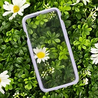 iPhone SE(2020)/8/7/6s/6 Clear Case - Lavender Ridge And Clear
