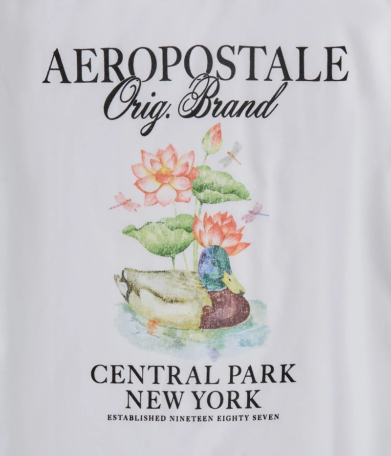 Aeropostale Central Park Graphic Tee