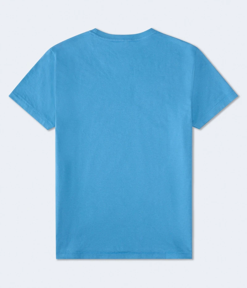 Aero NYC Statue Of Liberty Graphic Tee