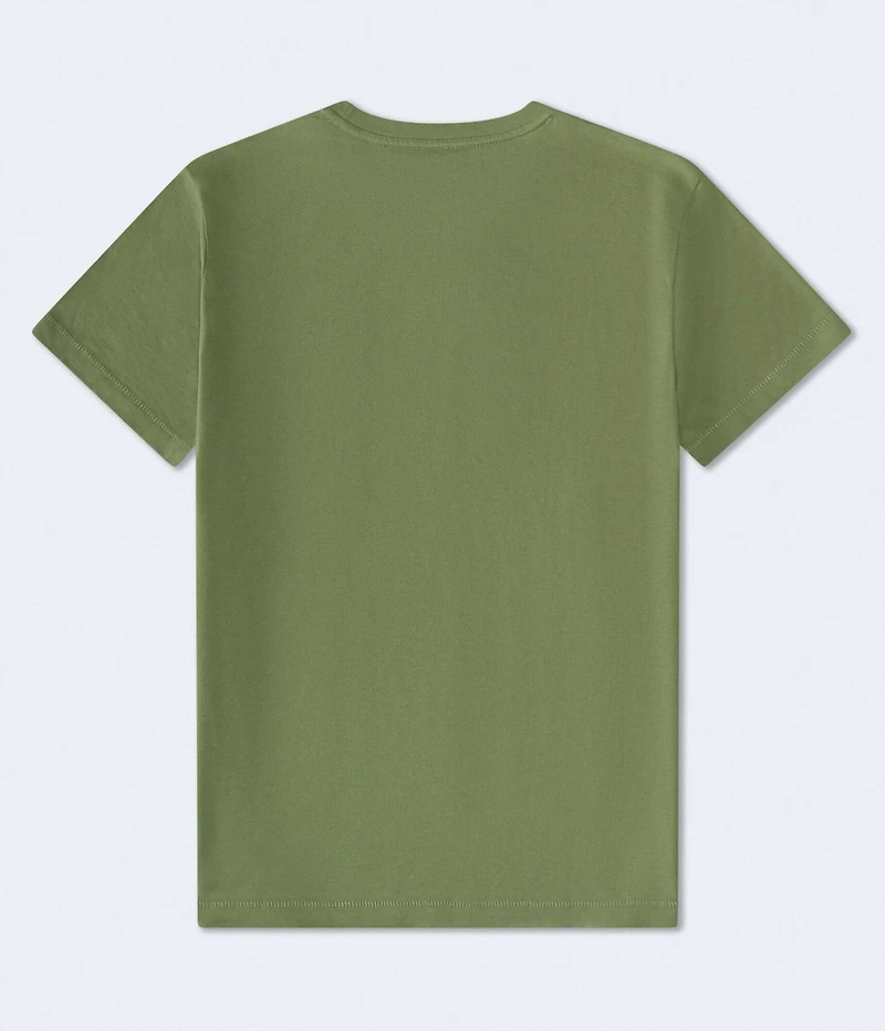 Aeropostale USA Statue Of Liberty Graphic Tee