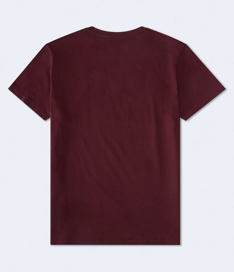 Aero Script Logo Graphic Tee
