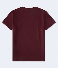 Aero Script Logo Graphic Tee