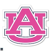 Auburn 3