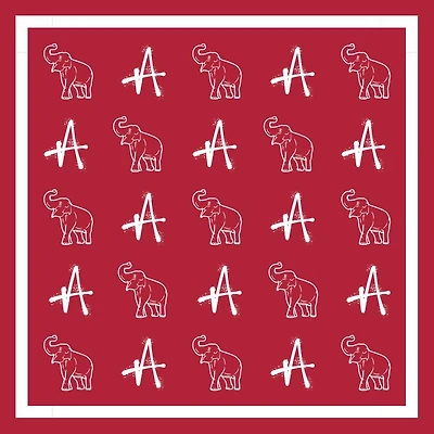 Alma Mater Collection Spirit Print Scarf