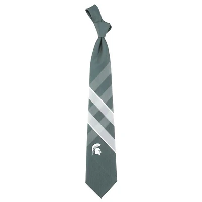 Michigan State Eagles Wings Grid Tie