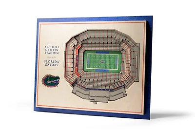 Florida 5 Layer Stadium View 3D Wall Art