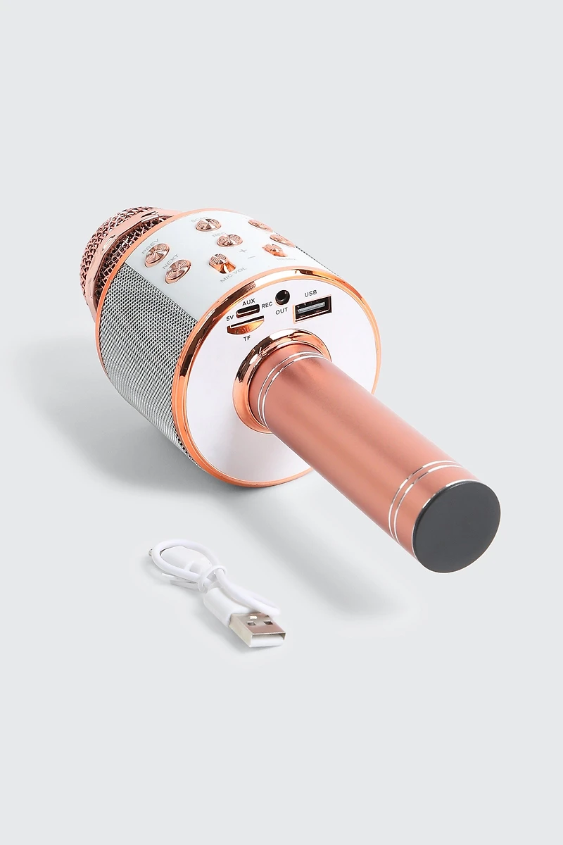 Microphone haut parleur sans fil Hi-Fi