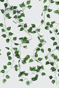 Guirlande lumineuse DEL à vignes