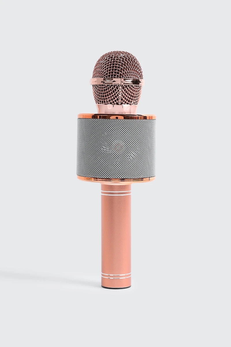 Microphone haut parleur sans fil Hi-Fi