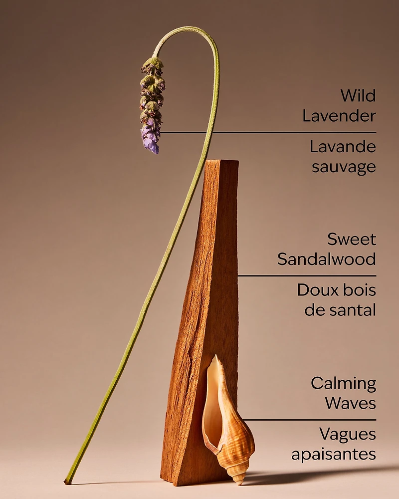 Oceanside Lavender 3-Wick Candle