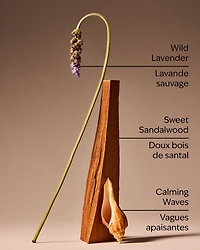 Oceanside Lavender 3-Wick Candle
