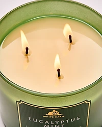 Eucalyptus Mint 3-Wick Candle