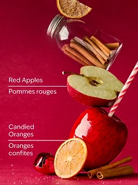 Winter Candy Apple Wallflowers Fragrance Refill