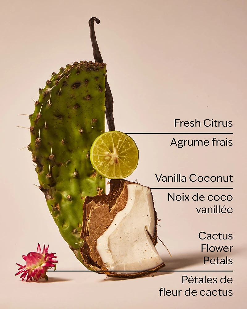 Cactus Blossom 3-Wick Candle