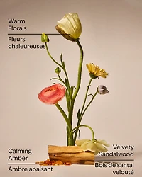 Warm Summer Evening Single Wick Candle