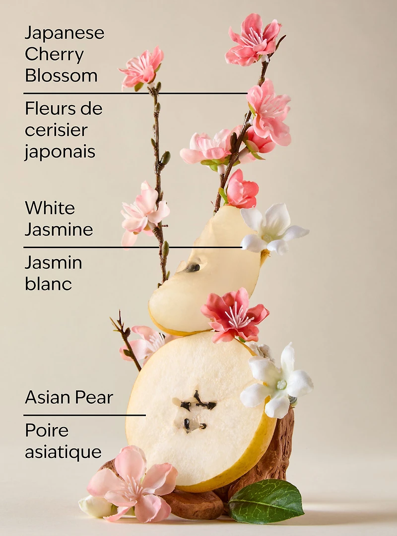 Japanese Cherry Blossom Lip Gloss