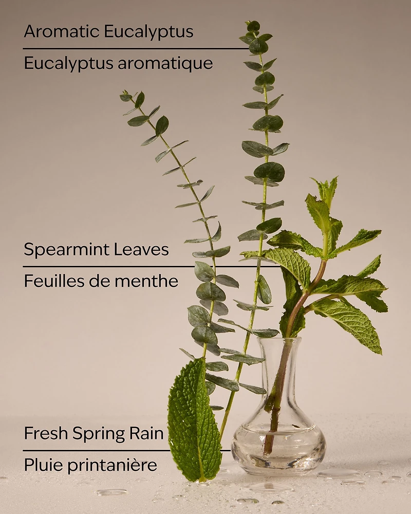 Eucalyptus Rain Concentrated Room Spray