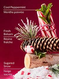 Twisted Peppermint Body Lotion