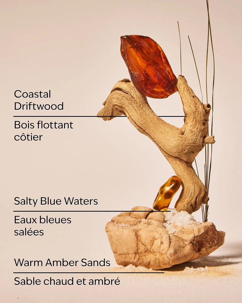 Sandbar Wallflowers Fragrance Refill