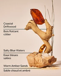 Sandbar Wallflowers Fragrance Refill