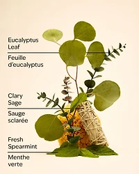 Eucalyptus Spearmint Bath Fizzy