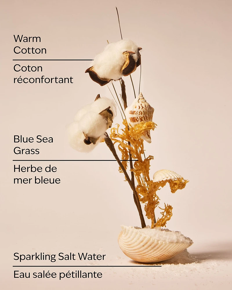 Beach Blanket Wallflowers Fragrance Refill