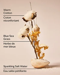 Beach Blanket Wallflowers Fragrance Refill