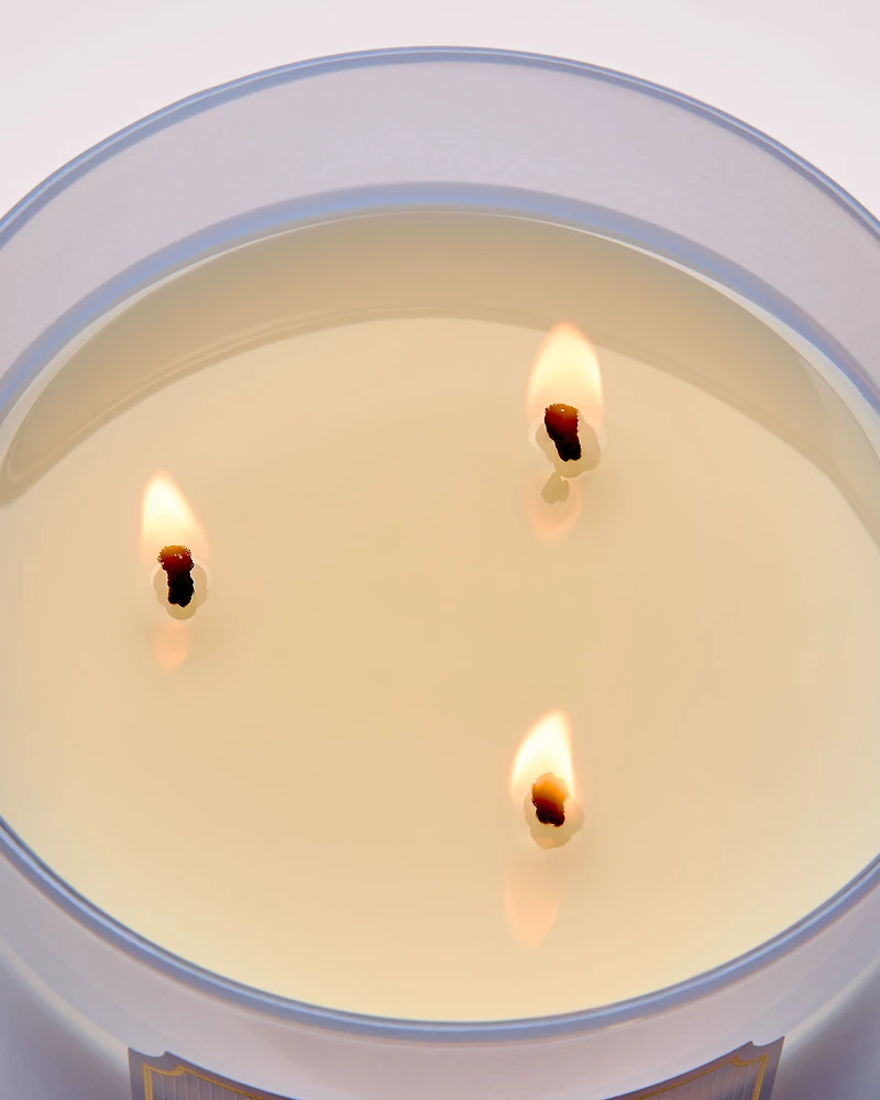 Violet & Musk 3-Wick Candle