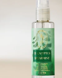 Eucalyptus + Spearmint Hand Sanitizer Spray