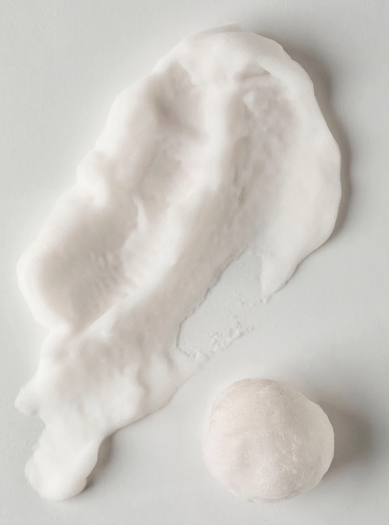 Vanilla Bean Noel Shapeable Soap