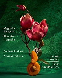 Mulan Ultimate Hydration Body Cream