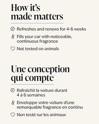 Raspberries & Whipped Vanilla Car Fragrance Refill