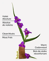 Very Violet 3-Wick Candle
