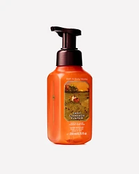 Sweet Cinnamon Pumpkin Gentle & Clean Foaming Hand Soap