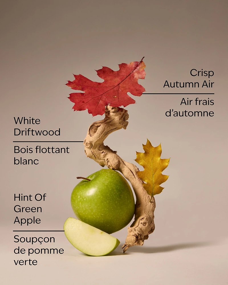 Lakeside Morning 3-Wick Candle