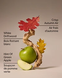 Lakeside Morning 3-Wick Candle