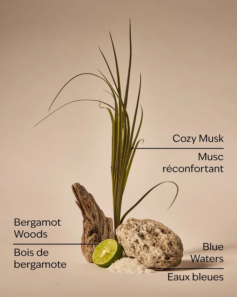 Bergamot & Musk Single Wick Candle