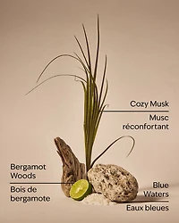 Bergamot & Musk Single Wick Candle