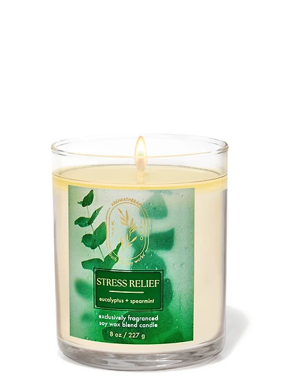Chandelle à une mèche Eucalyptus Spearmint