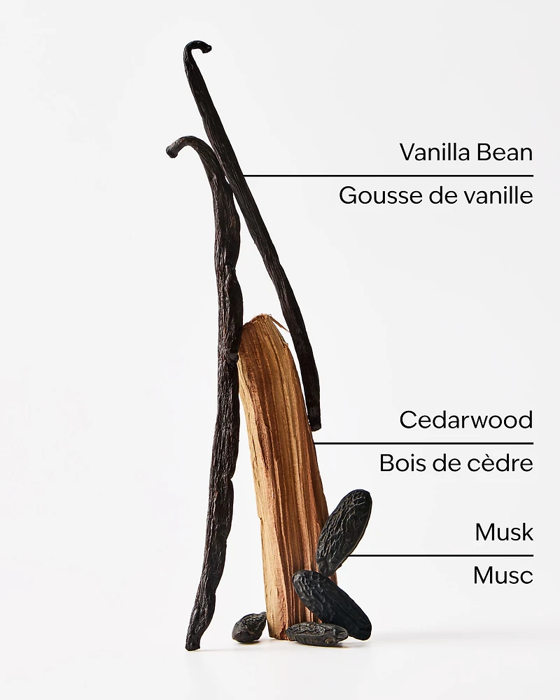 Chandelle à une mèche Vanilla + Tonka