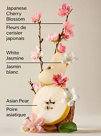Japanese Cherry Blossom Travel Size Body Wash
