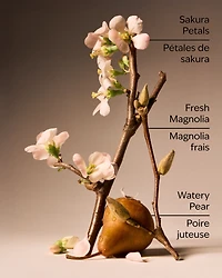 Forever Cherry Blossom Body Lotion