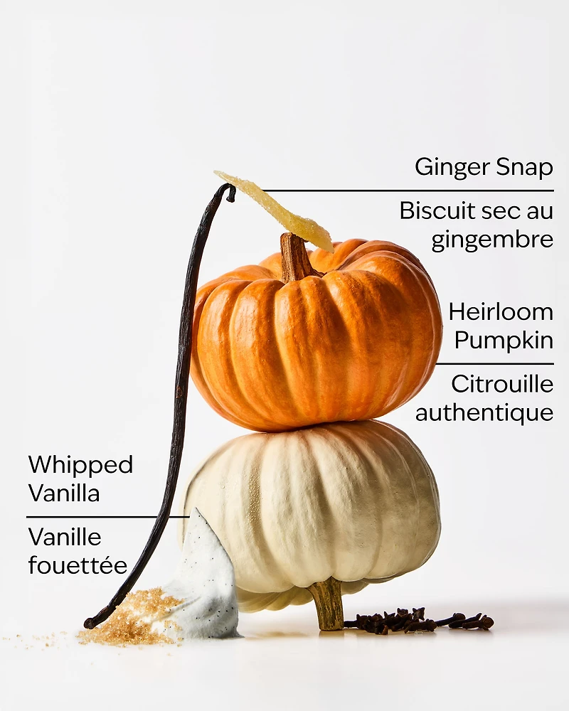 Sweet Cinnamon Pumpkin 3-Wick Candle