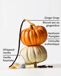 Sweet Cinnamon Pumpkin 3-Wick Candle