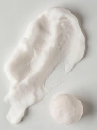 Vanilla Bean Noel Shapeable Soap