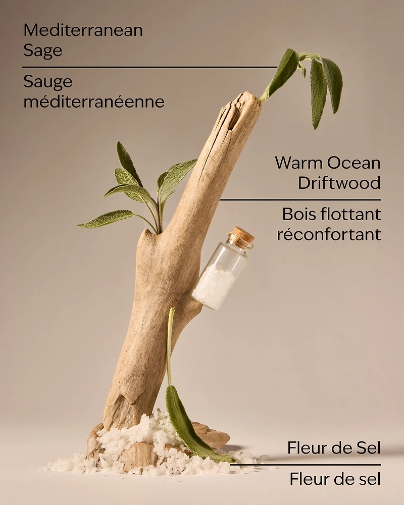 Sea Salt & Driftwood Wallflowers Fragrance Refill