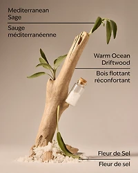 Sea Salt & Driftwood Wallflowers Fragrance Refill