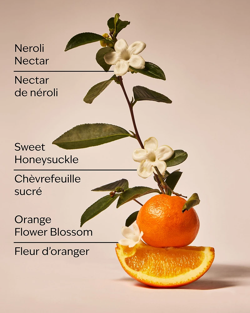 Backyard Honeysuckle Wallflowers Fragrance Refill